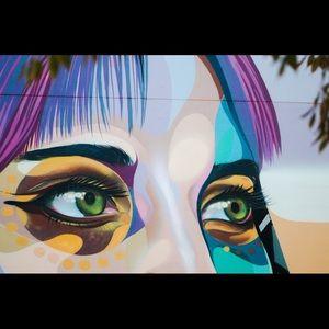 Meet your Posher, Destiny